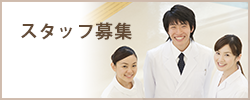 スタッフ募集